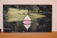 /album/foto-impresion/lago-frontal-jpg/